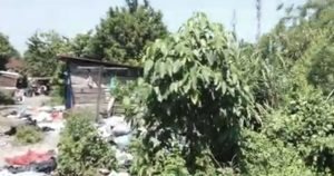 Diduga Pengolahan Air Dekat Ternak Babi, JMM Pertanyakan Kelayakan dan Kehalalan Air Tirtanadi di Sungai Denai