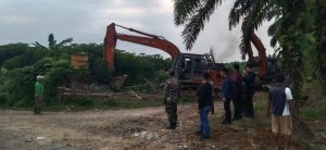 Kerahkan Enam Alat Berat, PTPN 2 Bersihkan Areal di HGU No.94 Kebun Limau Mungkur