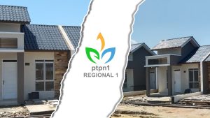 Optimalisasi Aset- Aset Potensial, Menjadi Fokus Utama PTPN 1 Regional 1