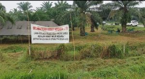 Begini Modus Para Bandit Mafia Tanah di Areal HGU No. 62 Kebun Penara PTPN I