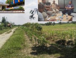 Kreditur 23 Miliar Wafat, Bank Sumut Belum Temui Ahli Waris, Kredit Macet PT Pangripta Telah Disupervisi KPK Namun Tak Tuntaskan