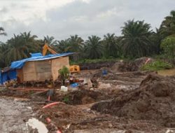 Aktifitas PETI PT PSU di Kebun Madina Terkesan Terorganisir, Pejabat Sumut Masih Bungkam