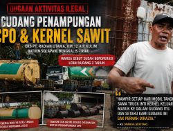 3 Tahun Beroperasi, Gudang Penampungan CPO dan Kernel Ilegal di Eks PT Radian Utama Km 12 Kulim Kebal Hukum