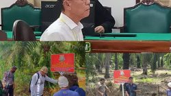 Akuang Diduga Kabur, Eksekusi 10 Tahun Penjara dan UP Tp856,8 M Batal? Sawit Sitaan Terus Dipanen, Kasi Penkum Kejati Sumut : Kejari Langkat dan BKSDA Saling Kordinasi  